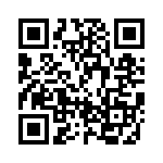 BZD17C47P-RVG QRCode