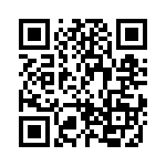 BZG04-91TR3 QRCode