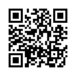 BZT52B10-E3-08 QRCode