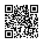 BZT55B2V4-L1G QRCode