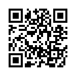 BZT55B4V3-GS18 QRCode