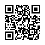 BZT55B4V7-L1G QRCode