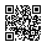 BZT55C13-GS08 QRCode