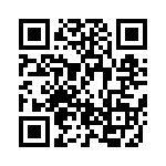 BZT55C22-L1G QRCode