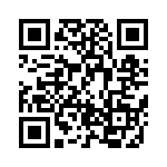 BZT55C27-L0G QRCode