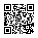 BZT55C33-L0G QRCode