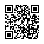 BZT55C3V3-L0G QRCode