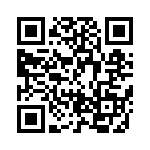 BZT55C51-L1G QRCode