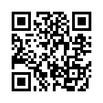 BZV09-Z0000-04 QRCode