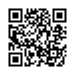 BZV55-B4V3-115 QRCode