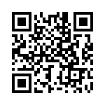 BZV55B4V7-L0G QRCode