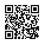 BZW04-11-R1G QRCode