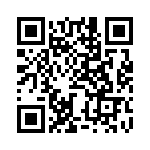 BZW04-17BHA0G QRCode