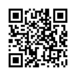 BZW04-256BHR0G QRCode