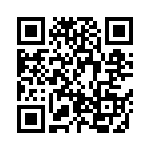 BZW04-299B-A0G QRCode