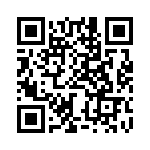 BZW04-299HA0G QRCode