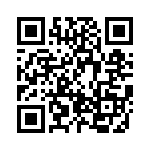 BZW04-299HR1G QRCode