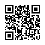 BZW04-31-R1G QRCode