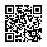 BZW04-33HA0G QRCode