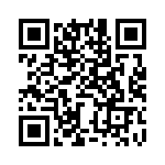 BZW04-94-R1G QRCode