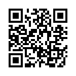 BZW04P33-E3-73 QRCode