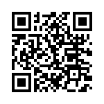 BZW06-19BRL QRCode