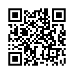 BZW06-256B-A0G QRCode