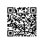 C0402C309B5GAC7867 QRCode