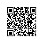 C13101_LENA-X-WAS QRCode