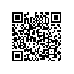 C13301_STRADA-2X2-T3 QRCode