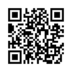 C330C333J2G5TA QRCode