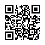 C333C394G5G5TA QRCode