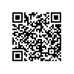 C907U309CZNDBA7317 QRCode