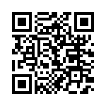 CE3291-33-333 QRCode