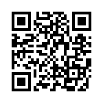 CE45-1100-151 QRCode