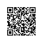 CLU026-1203C1-273M2G2 QRCode