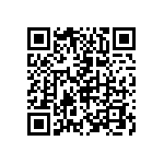 CP00053K300JE66 QRCode