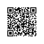 CP00101K300KE66 QRCode