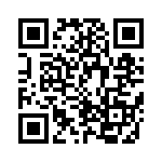 CRB3A4E391JT QRCode