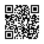 CRB3A4E393JT QRCode