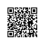 CW0015R100JE12HS QRCode