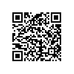 CW0101R300JE123 QRCode