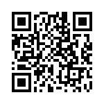 CW0101R800JS67 QRCode