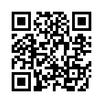 CW0104R300JE12 QRCode