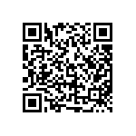 D38999-24WG41PB-LC QRCode