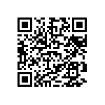 D55342E07B130EMWS QRCode