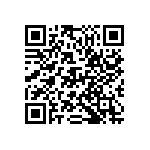 D55342E07B132BRWS QRCode