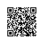 D55342E07B137ERT5 QRCode