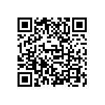 D55342E07B156BRWS QRCode