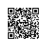 D55342E07B196ERWS QRCode